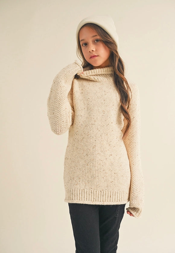 Tinley Turtle Neck Long Sweater